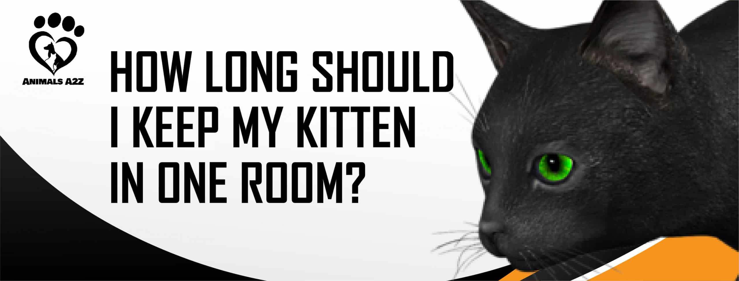 Hvor længe jeg holde min killing i rum? [ Grundigt svar ]